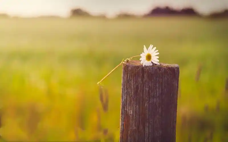 那些"超感人"的qq空间说说,往后余生我只要你,适合00后