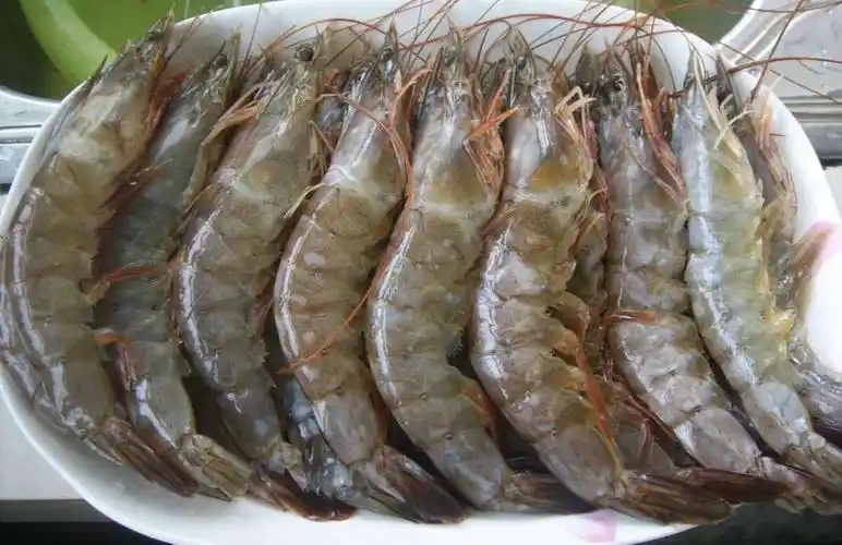 南美白虾:肉质紧实,鲜美无比.
