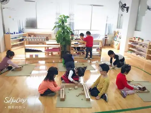 蒙氏混龄教育——孩子最自然的成长方式