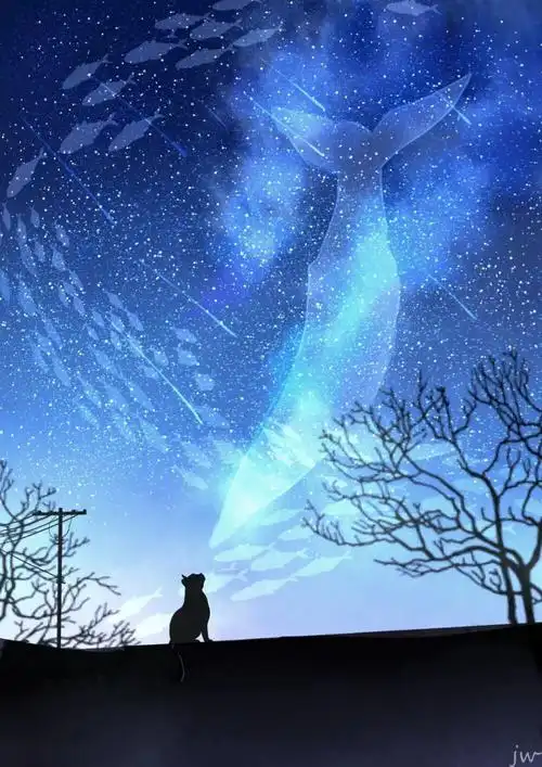 星空下的猫画师jwpid33558705本作品id75779823