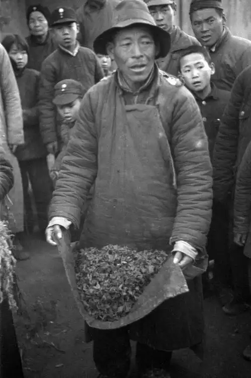 1942-1943年河南大饥荒全景纪实