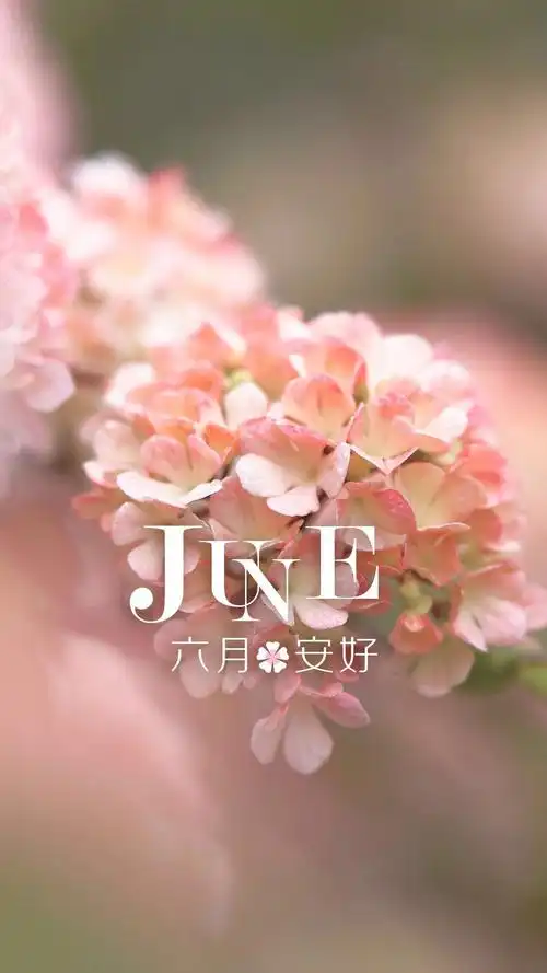 六月安好高清原图查看