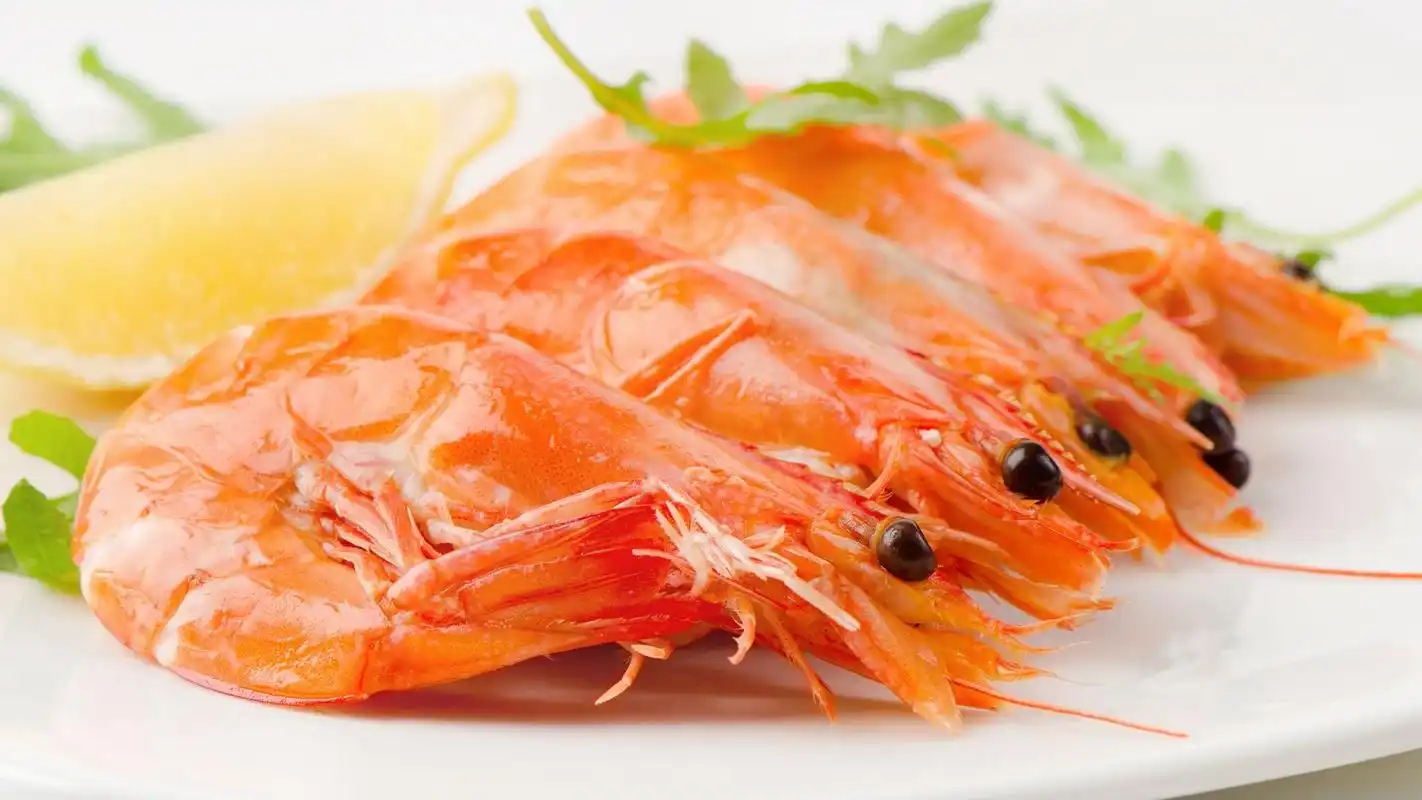 最有营养的食物(对人体最有营养的食物)