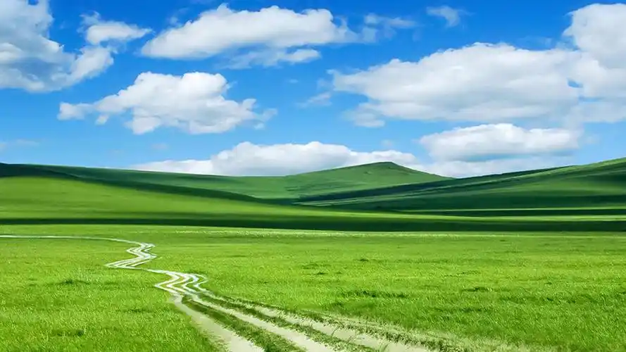 绿色好心情,锁屏图片,高清手机壁纸,风景-回车桌面