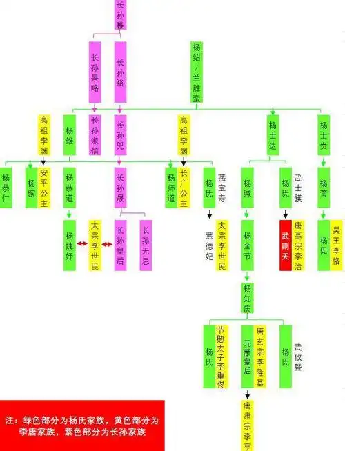 他的下场很惨也是观王家族报复吧|李恪|唐朝|李世民|武则天|王皇后