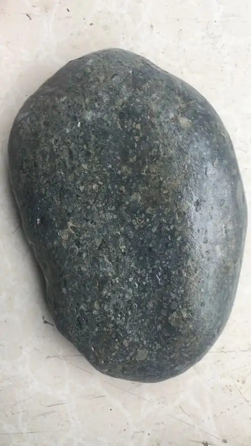 这颗球粒陨石蓝莓重17.5斤!弱磁