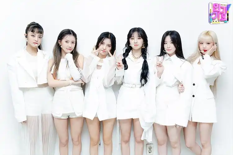 堆糖,美图壁纸兴趣社区