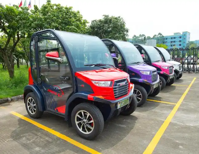 绿通电动观光车,品牌实力,共同见证