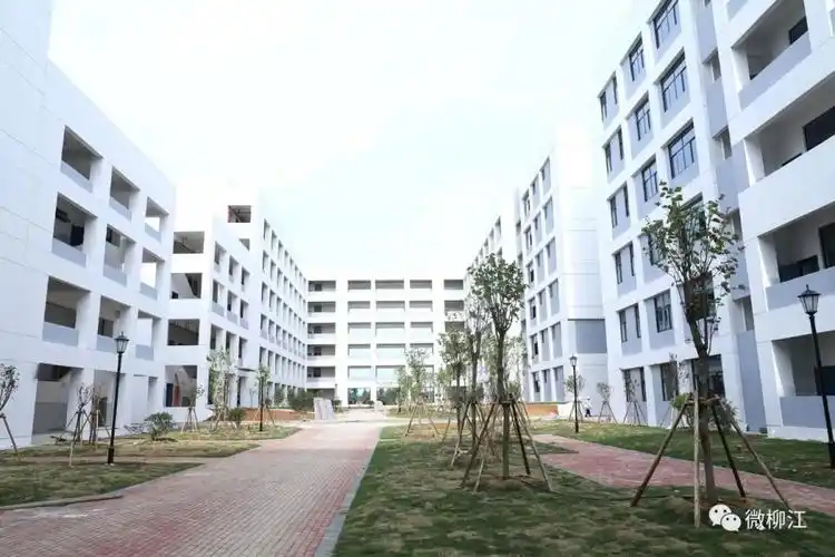 今年秋季柳江中学将投入使用 预计容纳5千名学生!