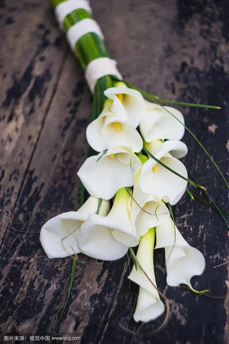 白色马蹄莲在新娘花束