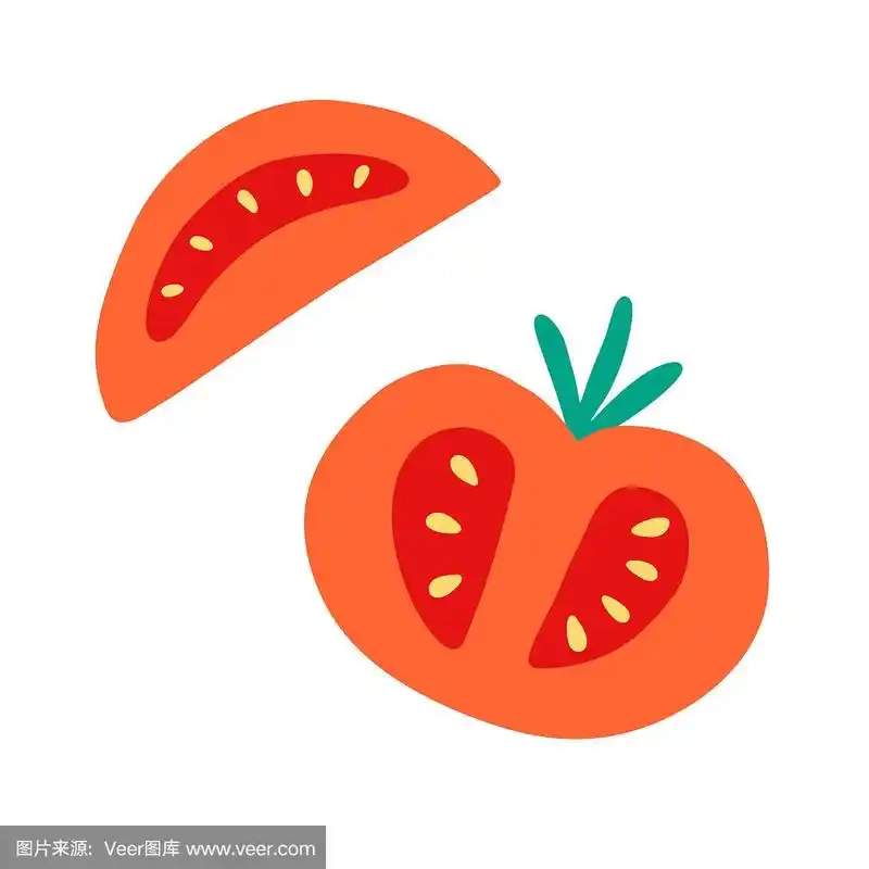 tomato and slice hand drawn doodle print.