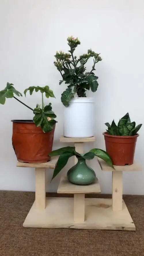 废旧木板改造简易花架!