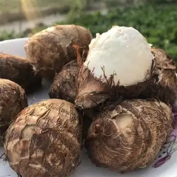 山东农家沙地软糯小芋头5斤装毛芋头乃芋番薯新鲜蔬菜生鲜有坏包赔