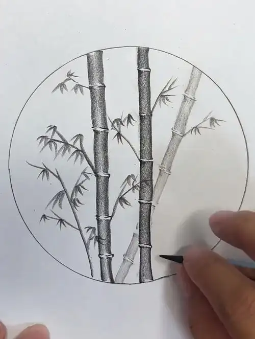 一起学画画,炭笔画,零基础学画画,简单几笔画竹子-度小视