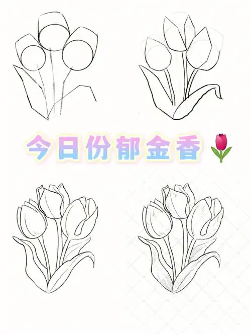 封校女大学生都在干什么画个郁金香