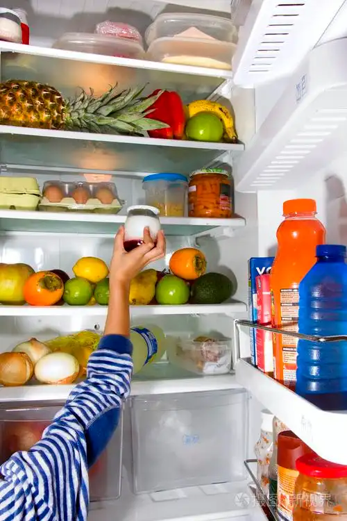 冰箱冷藏库制冰机冷冻机