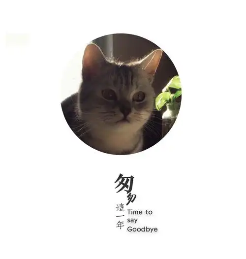 时间犹如白驹过隙匆匆一过便是一年