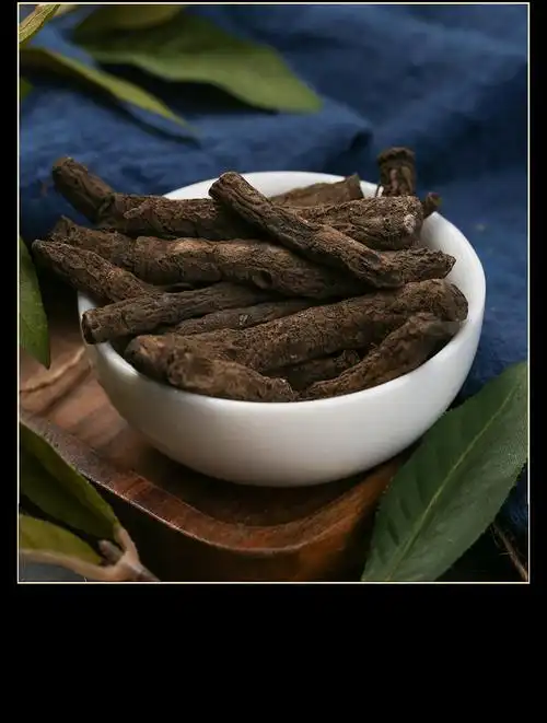 仙茅草仙茅根中仙茅仙灵脾独角新鲜仙茅茶泡茶泡酒滋补罐装仙茅2罐装