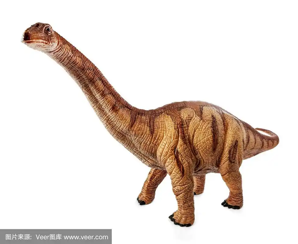 侏罗纪,雷龙,白色背景,分离着色,恐龙