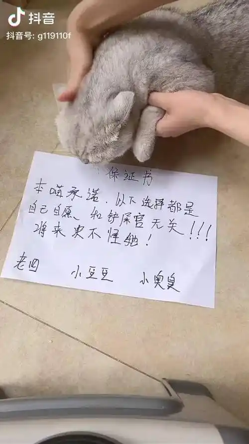 自己选的路再痛也要走完我就服老四保住了自己