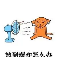 天气热适合发朋友圈的搞笑配图_微信头像图片大全