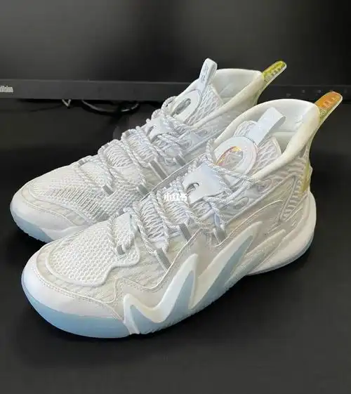 安踏要疯四传承