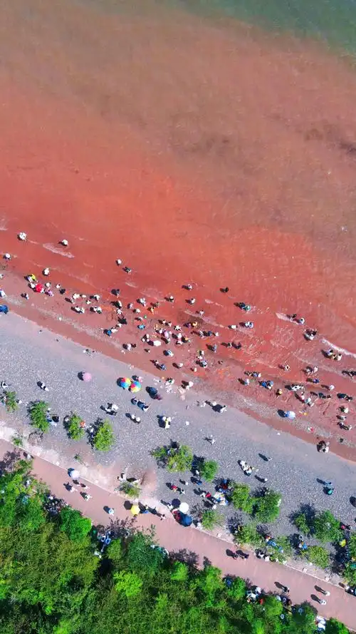抚仙湖粉红沙滩