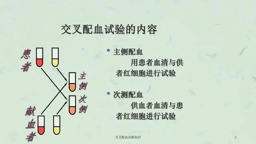 交叉配血试验知识课件