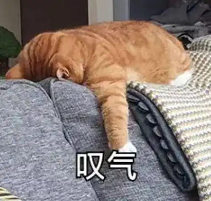 萌宠喵星人叹气生无可恋呆萌可爱gif动图_动态图_表情包下载_soogif