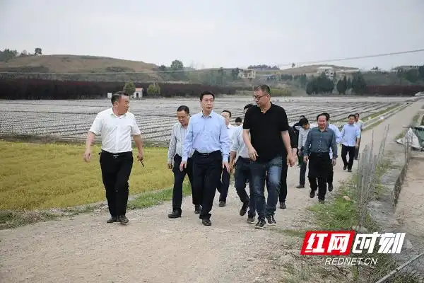 红网时刻3月18日讯(通讯员 黄新)3月16日,新田县委副书记,县长黄永英