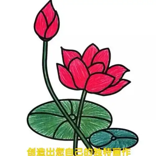 荷花的四种画法————————《家校共育探索》第八集