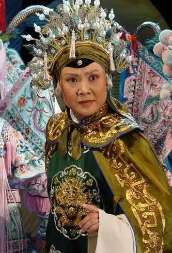 杨门女将是个骗局只有一人真实存在过姓名还被搞错