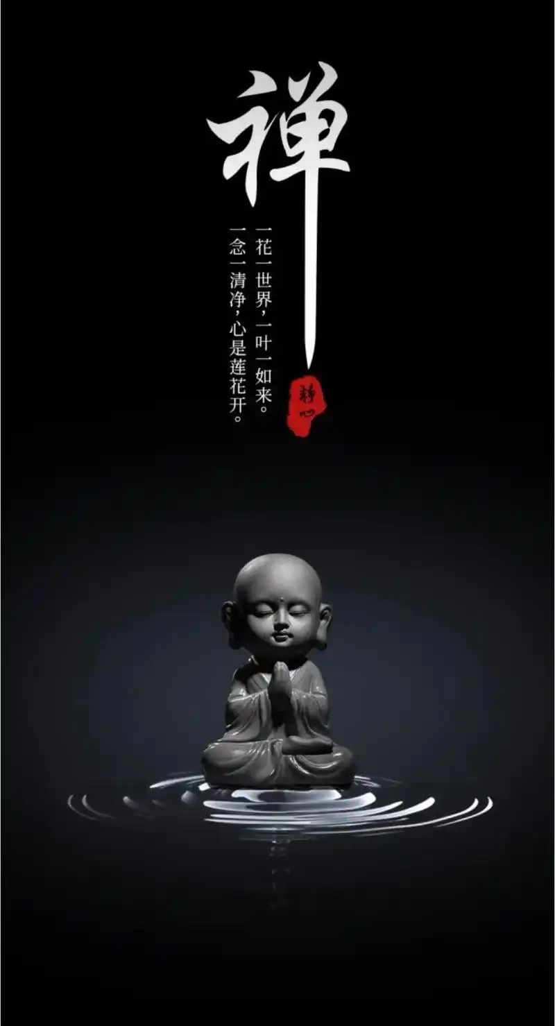 星空壁纸 #治愈系手机壁纸 #禅意壁纸 #禅悟人生 一花一 - 抖音