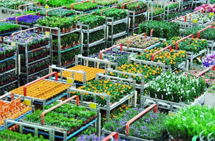 荷兰一些"美丽"的地方,你去过吗?