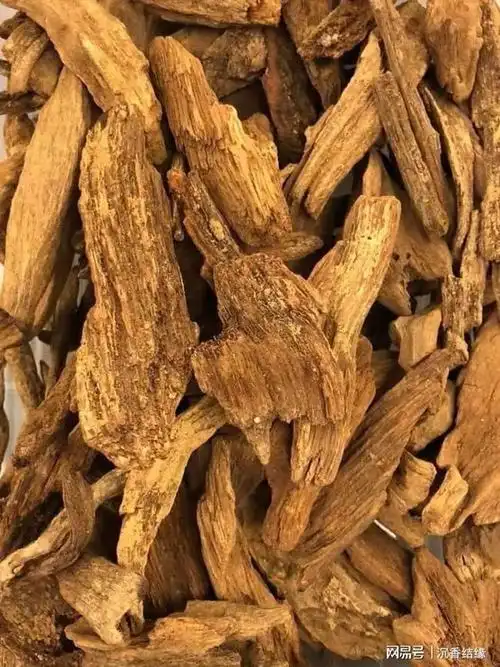 富森红土沉香稀少可遇不可求