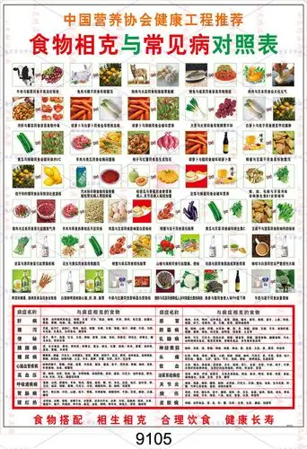 最新食物相生相克防癌致癌常见病长寿食谱人类饮食健康挂图批发