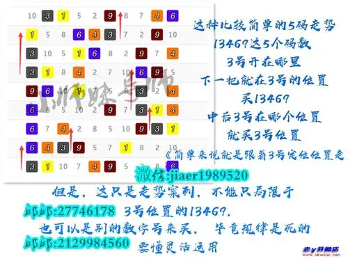 教你看解析幸运飞艇走势技巧规律技巧回血
