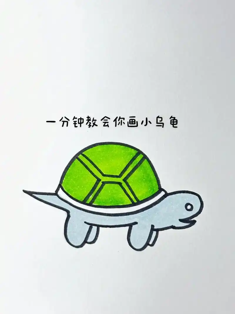 一分钟教会你画小乌龟.#简笔画教程 #一学就会的简笔画 #创 - 抖音