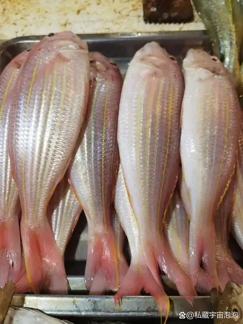 海南菜市场这些都是什么鱼?
