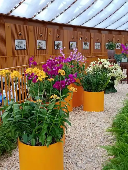 北京世界园艺博览会,展出的漂亮的花卉,插花,盆景及各省市的展厅布景.