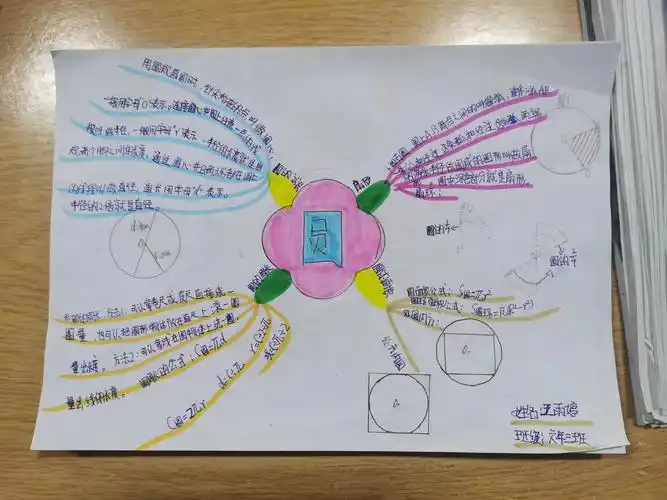 六年级上册第五单元《圆》思维导图
