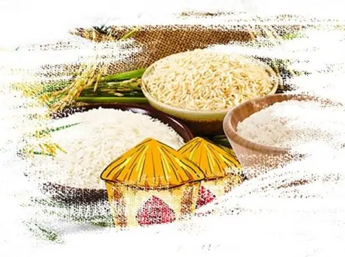 全省春耕"粮草"充足 供销系统购进化肥比往年增长逾两成