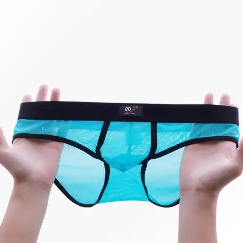 全透明网纱三角裤低腰透视火辣高弹u凸青年超薄性感夏男士三角裤