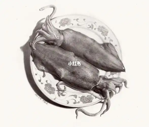 鱿鱼09精微素描教师研修班学员作品