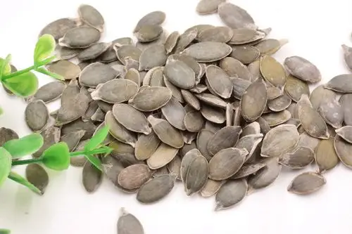 圣达无壳葫芦籽大量批发厂家直供