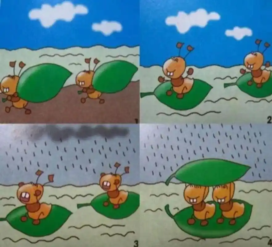 小蚂蚁和树叶看图写话二年级 小蚂蚁的一天  kaihao 夏天来了,天气