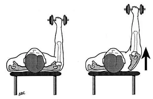那么在这些动作过程中肯定是能够刺激到前锯肌的,所以一般情况下,有