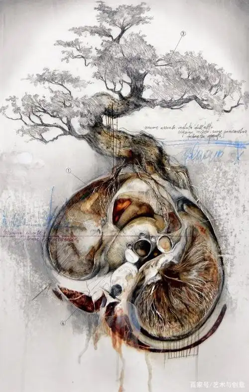 创意解剖插图:意大利视觉艺术家nunzio paci现实与想象