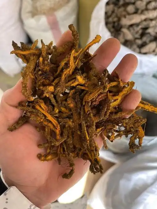 黄连中药鸡爪连黄连泡水黄莲片正品苦黄连粉包邮