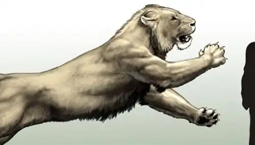 剑齿虎vs残暴狮,谁更强